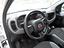 Immagine 6