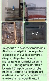 Blocco di canarini e gabbie e accessori