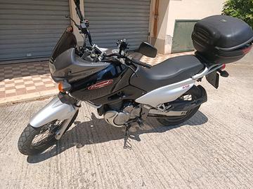 Suzuki xf 650 freewind iscritta FMI 