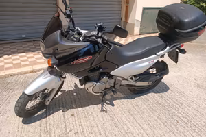 Suzuki xf 650 freewind iscritta FMI 