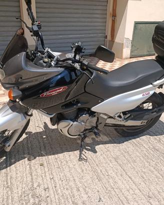 Suzuki xf 650 freewind iscritta FMI 