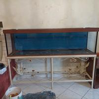 acquario 200/50 h60 