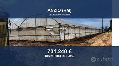 Immobile in asta di 33926 m² a Anzio