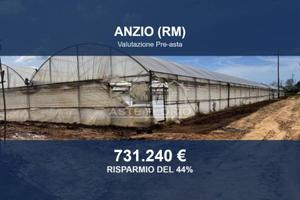 Immobile in asta di 33926 m² a Anzio