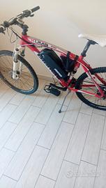 mtb.  bianchi