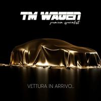 Mini Cooper S Countryman 2.0 Business Automatica