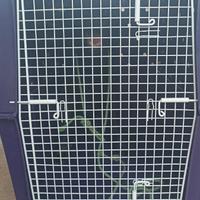 V trasporto cani XXL.