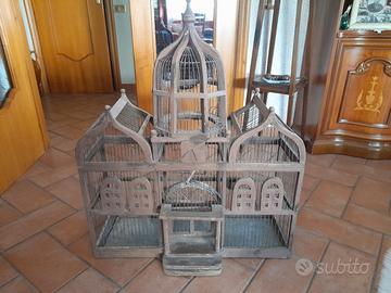 Gabbia x Volatili. 