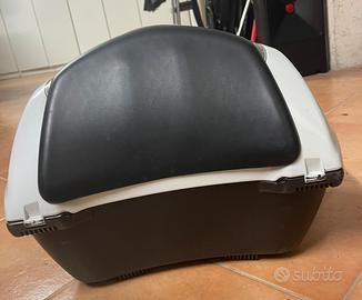 Bauletto moto Honda SH 150 trasporto cucciolo