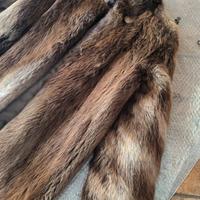 Pelliccia Castoro Taglia M42 Italia