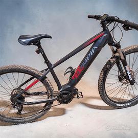 bicicletta con pedalata assistita