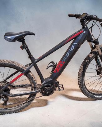 bicicletta con pedalata assistita