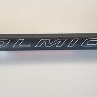 Roubasienne Colmic carpa