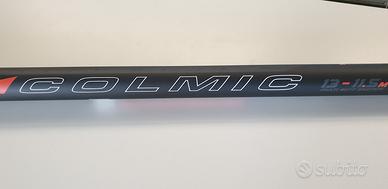 Roubasienne Colmic carpa