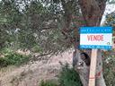 terreno-con-vano-rurale-villa-castelli