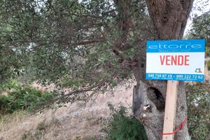 Terreno con Vano Rurale Villa Castelli