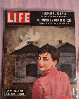 Life magazine 5 settembre 1955 Audrey Hepburn