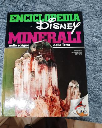Enciclopedia Disney Vintage Minerali nello scrigno
