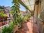 Immagine 9