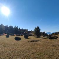 Monte Gazza - Terreno 13.000mq con Rudere