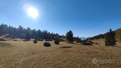 Monte Gazza - Terreno 13.000mq con Rudere