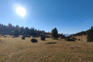 Monte Gazza - Terreno 13.000mq con Rudere