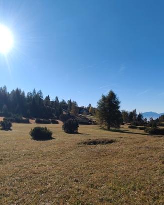 Monte Gazza - Terreno 13.000mq con Rudere
