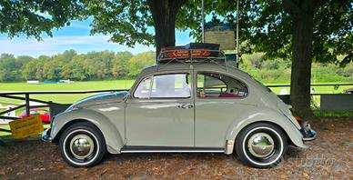 VW MAGGIOLINO 1200 – 1968 – CINCILLÀ L70MF