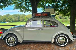 VW MAGGIOLINO 1200 – 1968 – CINCILLÀ L70MF