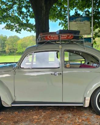 VW MAGGIOLINO 1200 – 1968 – CINCILLÀ L70MF