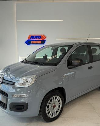 Fiat Panda 1.2 Lounge “ 29 Mila Km CERTIFICATI “
