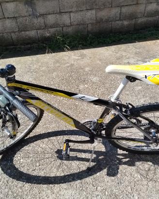 Mountain bike 26'