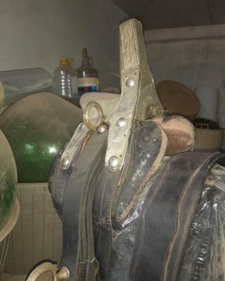 Spalla per cavallo da tiro