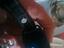 Immagine 2