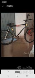 bicicletta mtb