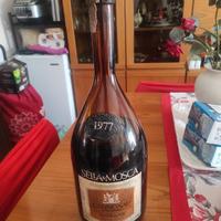 vino cannonau Anno 1977