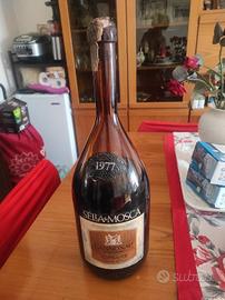 vino cannonau Anno 1977