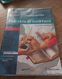 Palestra di scrittura