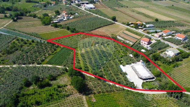 Azienda Agricola - Fossacesia