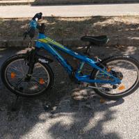 Bicicletta bambino 20'