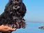 Immagine 5