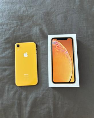 Iphone XR giallo