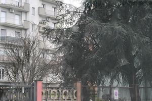 Garage, box Rozzano via dei garofani 8