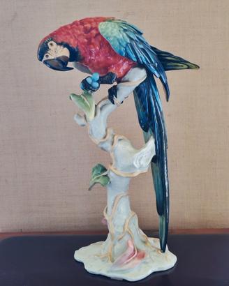 Scultura in porcellana di Pappagallo di Rosenthal