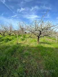Terreno di 2200 m² a Giugliano in Campania