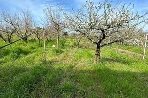Terreno di 2200 m² a Giugliano in Campania