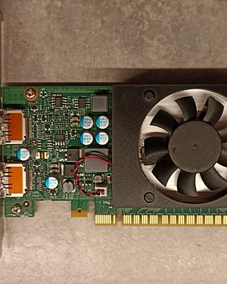 Scheda video Lenovo NVIDIA GeForce GT730