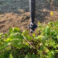 Braccetti per Kiwi pali cemento impianto irriguo