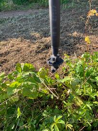 Braccetti per Kiwi pali cemento impianto irriguo