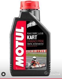 motul kart grand prix 2t